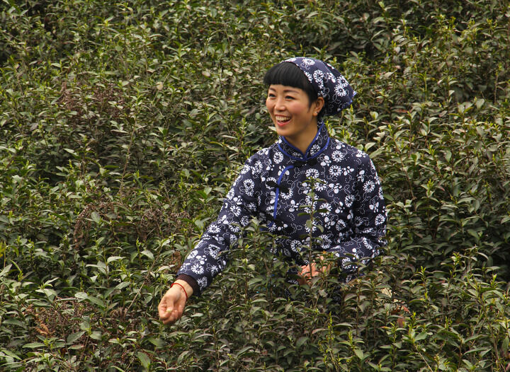 禁忌镜头